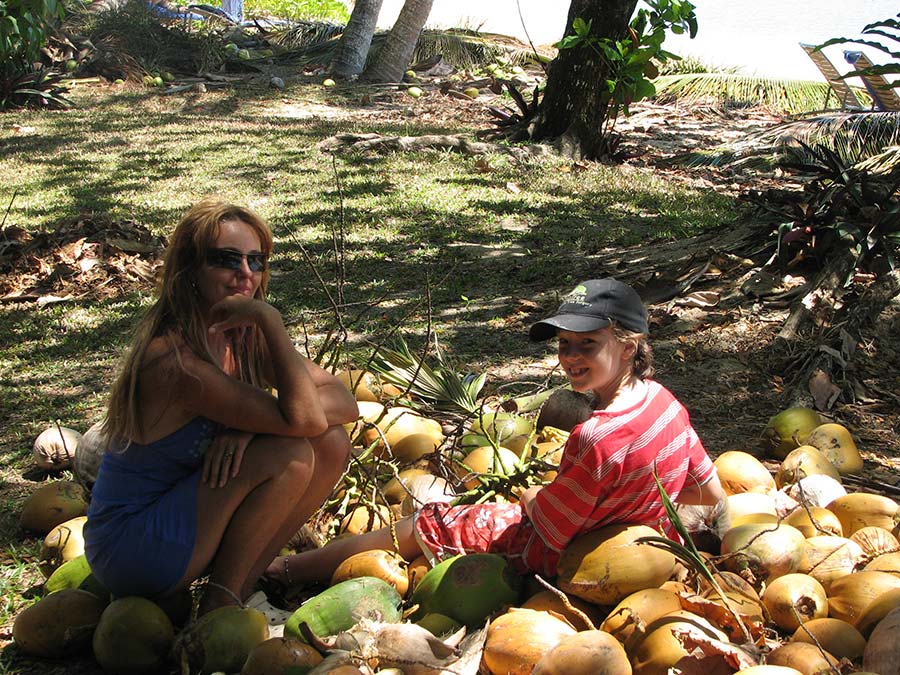 Cairns Coconut Denutting